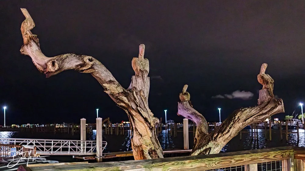 20250407-20250407-Mind Plays -16.jpg