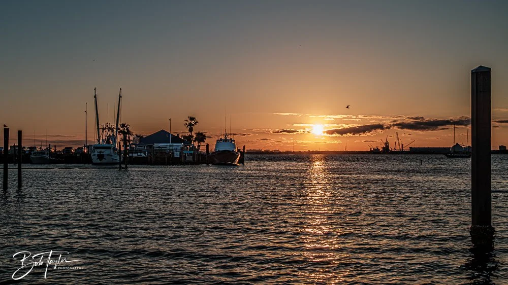 20250414-20250414-Mind Plays Flies -14.jpg