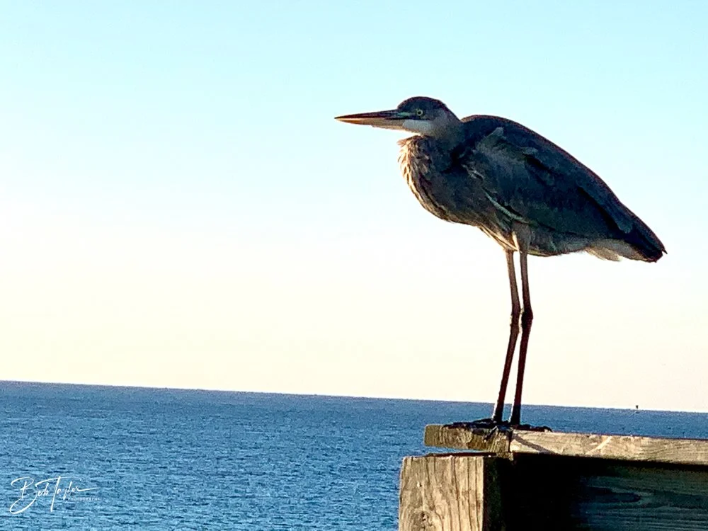 20201124-Best of 2020-2023 -183.jpg