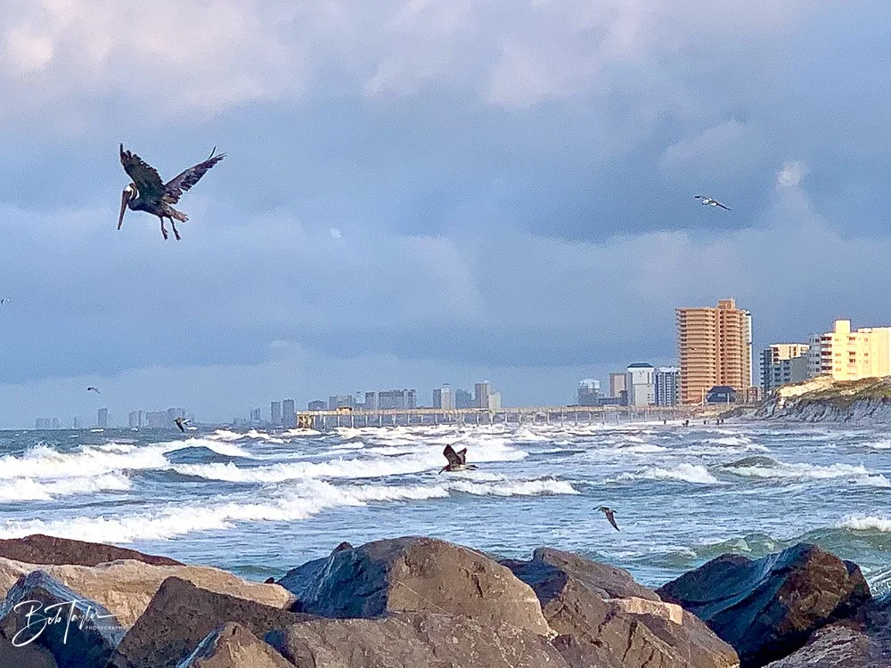 20200831-Best of 2020-2023 -41.jpg