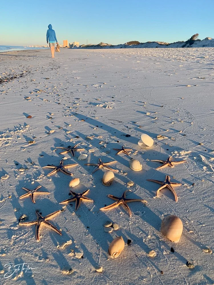 20201031-Best of 2020-2023 -156.jpg