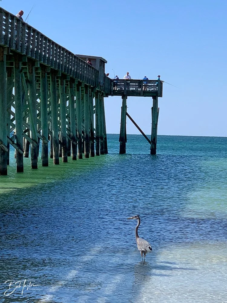 20201017-Best of 2020-2023 -114.jpg