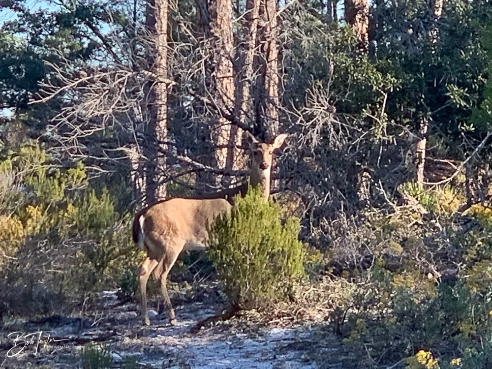 20201118-Best of 2020-2023 -169.jpg