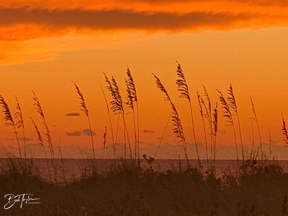 20200929-Best of 2020-2023 -100.jpg