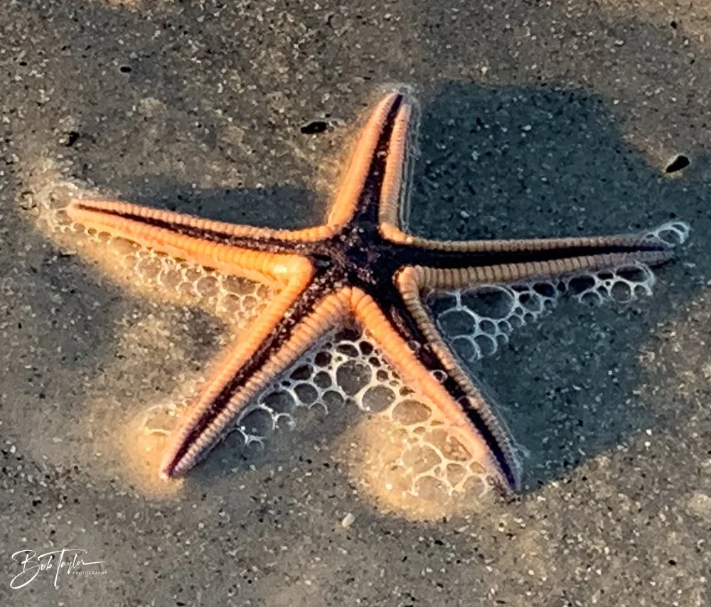 20201031-Best of 2020-2023 -157.jpg