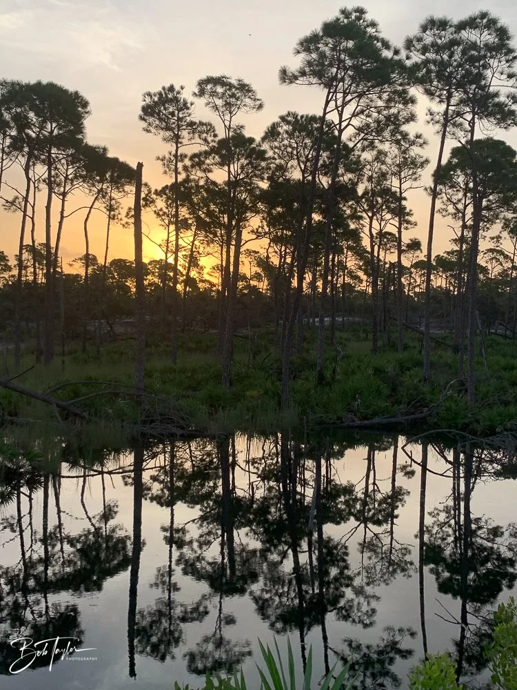 20200826-Best of 2020-2023 -18.jpg