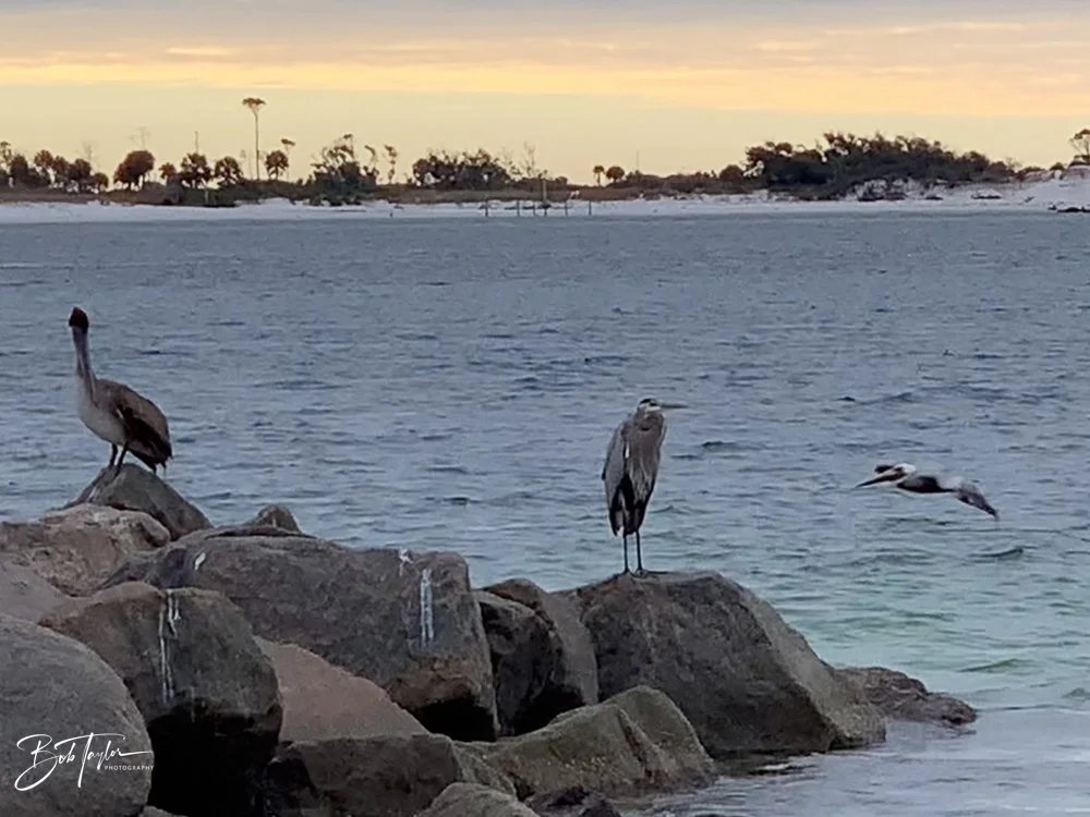 20201121-Best of 2020-2023 -179.jpg