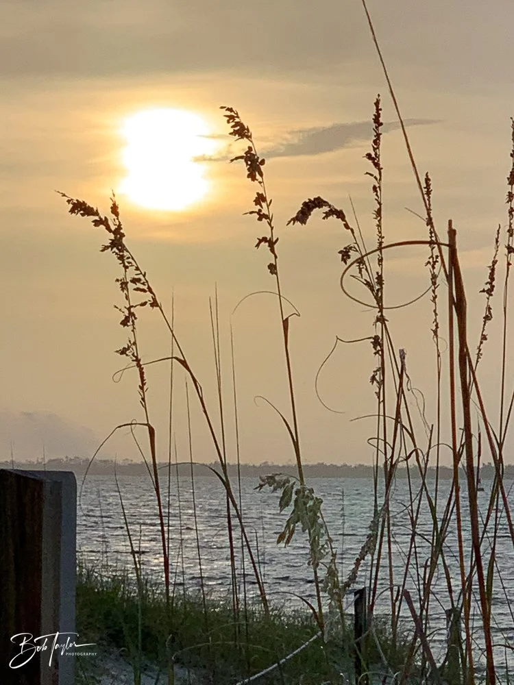 20200825-Best of 2020-2023 -13.jpg