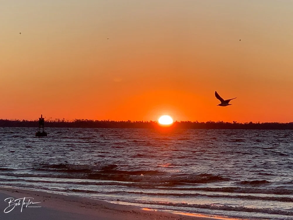 20201031-Best of 2020-2023 -155.jpg