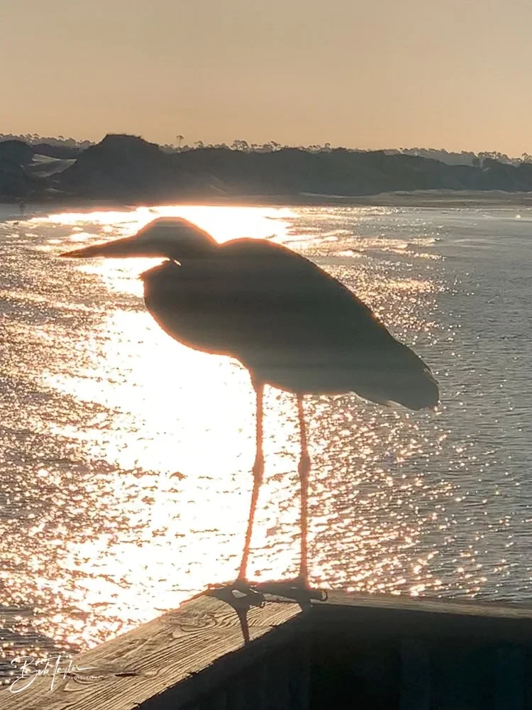 20201124-Best of 2020-2023 -184.jpg