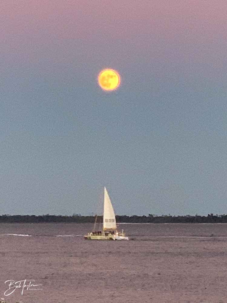 20201030-Best of 2020-2023 -153.jpg