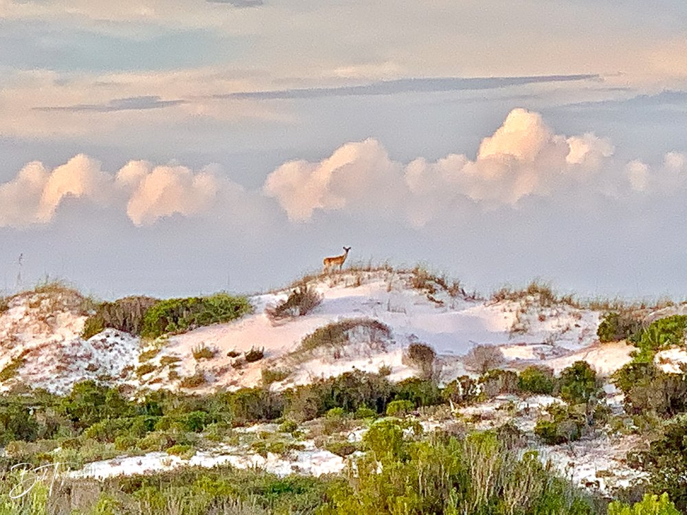 20200827-Best of 2020-2023 -34.jpg