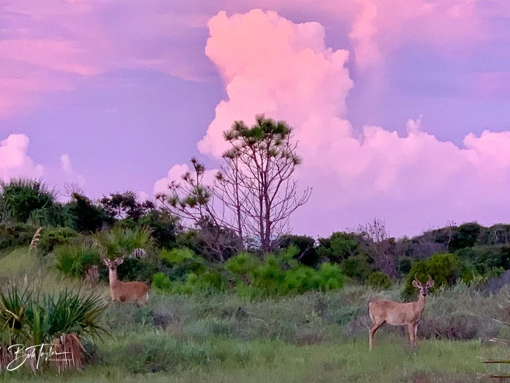 20200827-Best of 2020-2023 -25.jpg