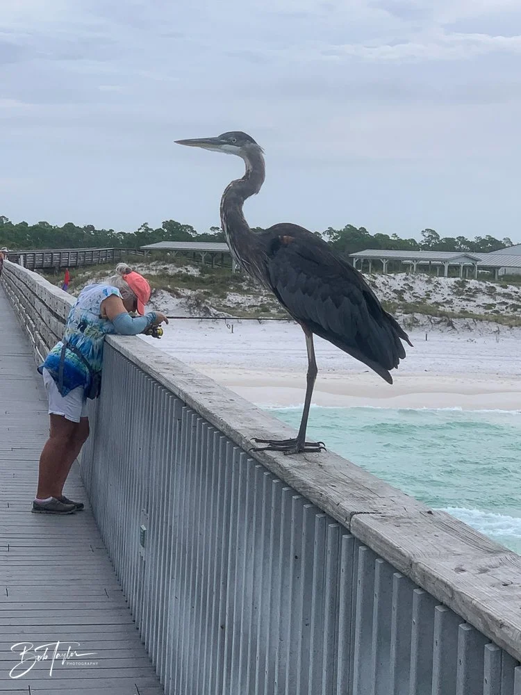 20200823-Best of 2020-2023 -9.jpg