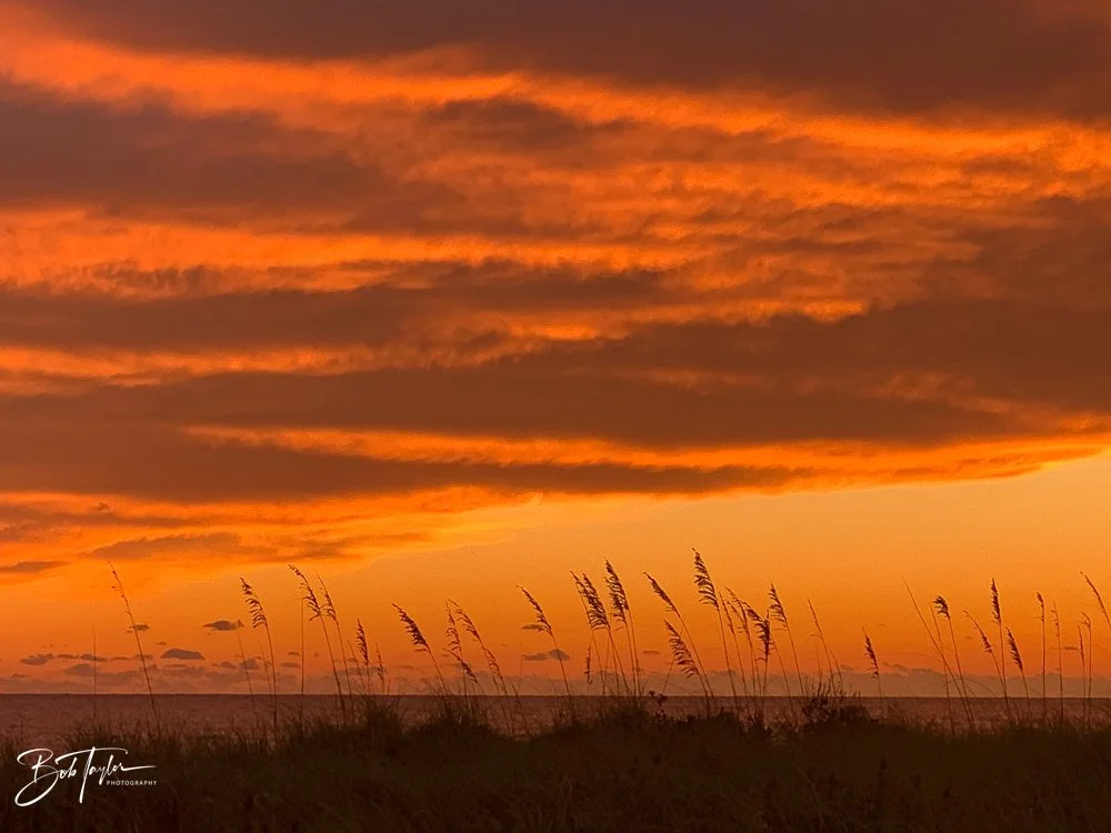 20200929-Best of 2020-2023 -101.jpg