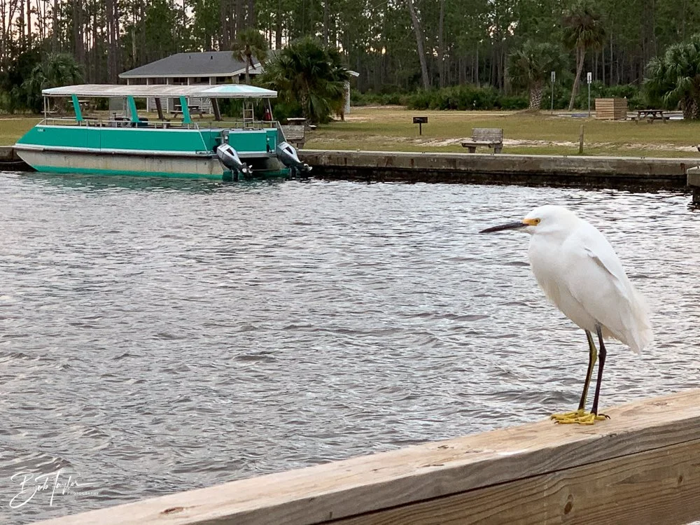 20201121-Best of 2020-2023 -174.jpg