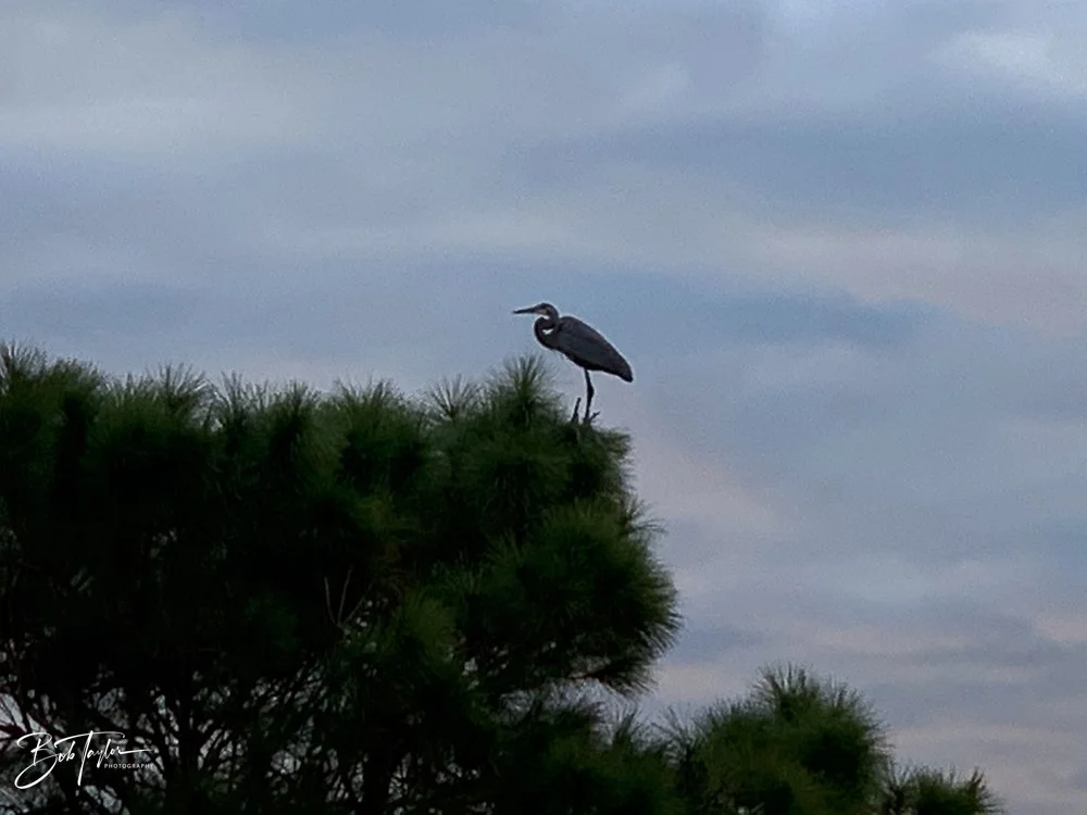 20201121-Best of 2020-2023 -177.jpg