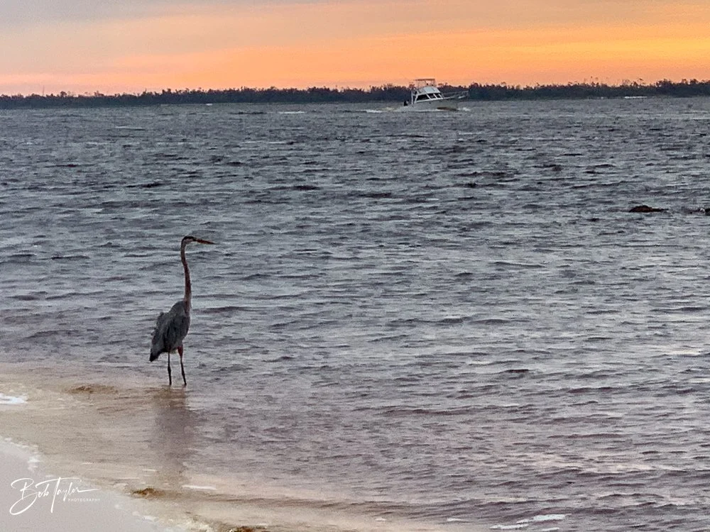 20200919-Best of 2020-2023 -73.jpg