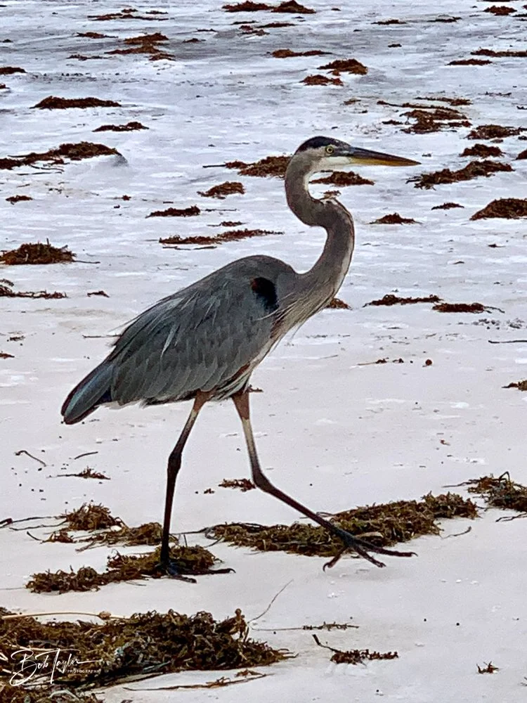 20200919-Best of 2020-2023 -76.jpg