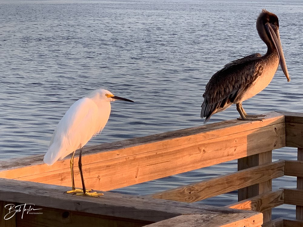 20200926-Best of 2020-2023 -87.jpg