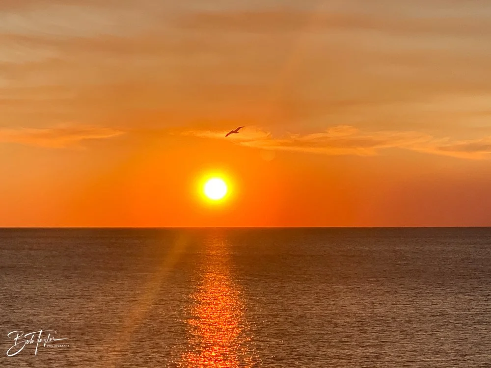 20201118-Best of 2020-2023 -171.jpg