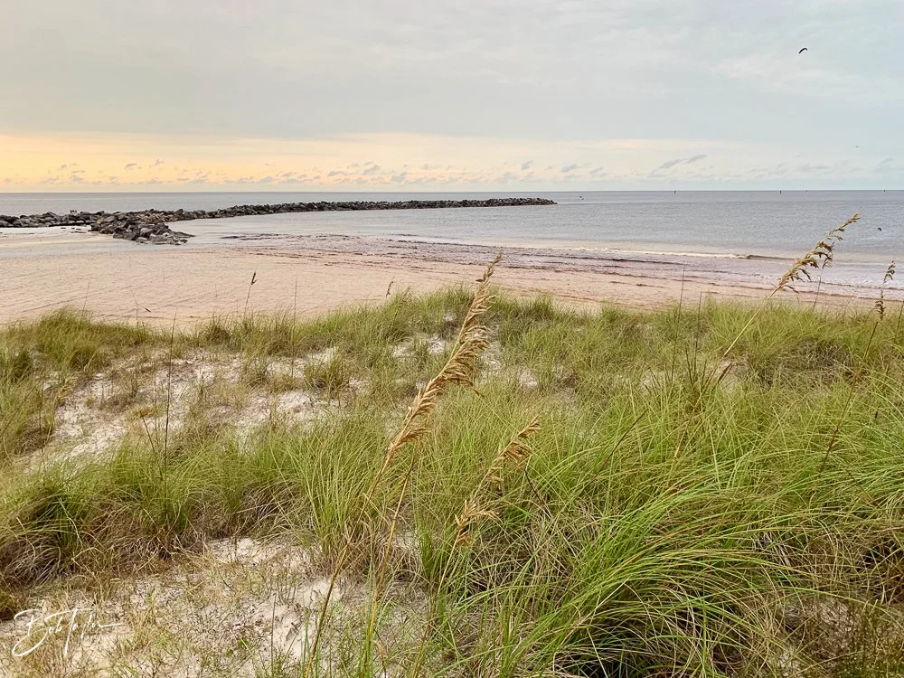 20200919-Best of 2020-2023 -70.jpg