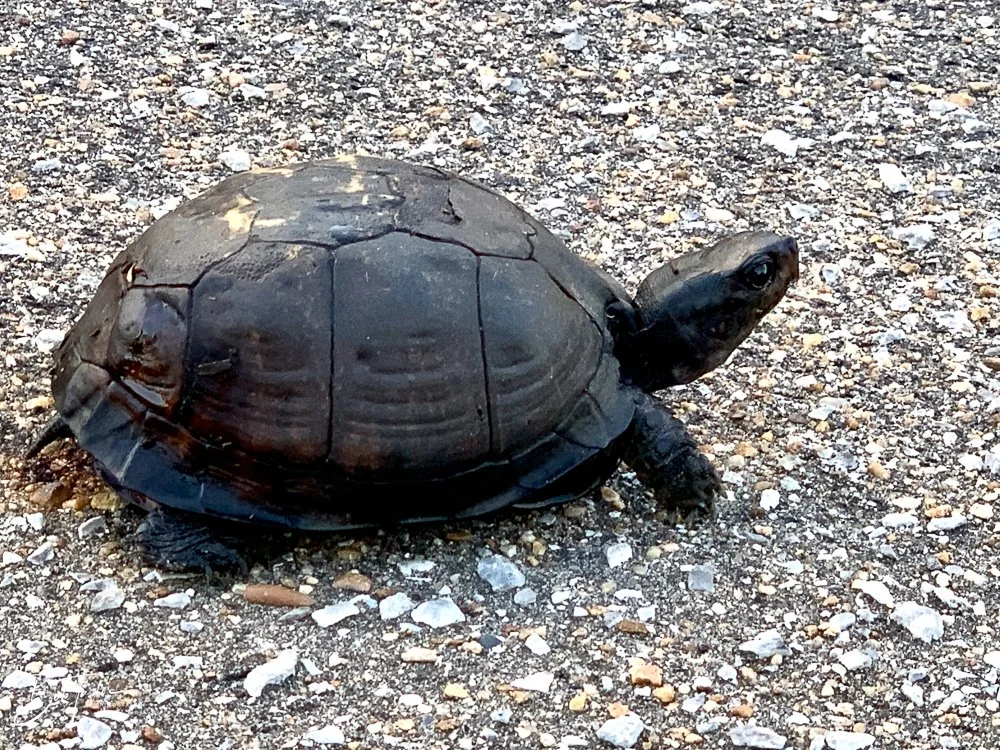 20200902-Best of 2020-2023 -43.jpg