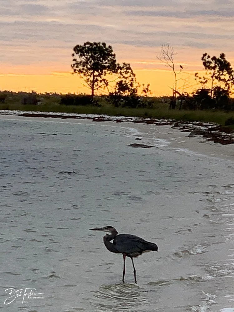 20201121-Best of 2020-2023 -176.jpg