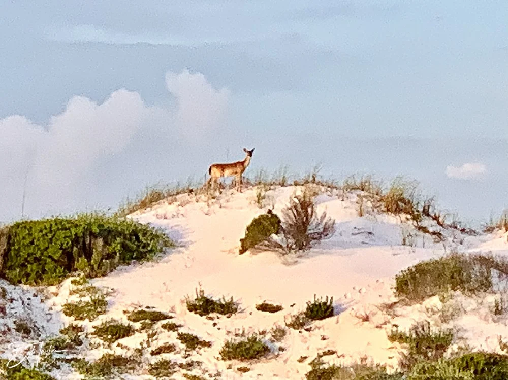 20200827-Best of 2020-2023 -35.jpg