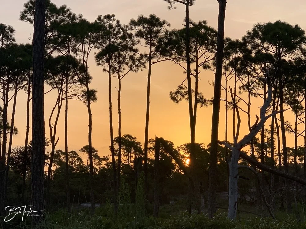 20200826-Best of 2020-2023 -17.jpg