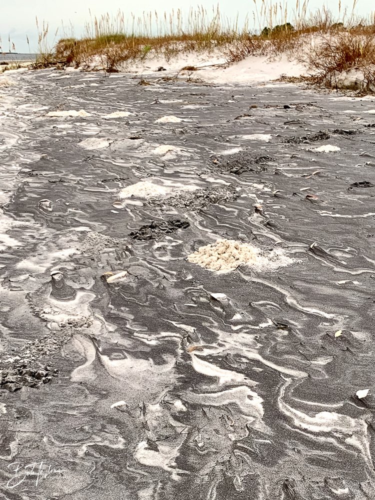 20200919-Best of 2020-2023 -75.jpg