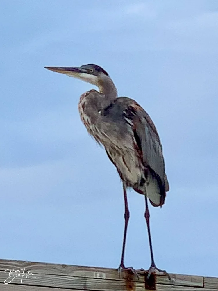 20200815-Best of 2020-2023 -6.jpg