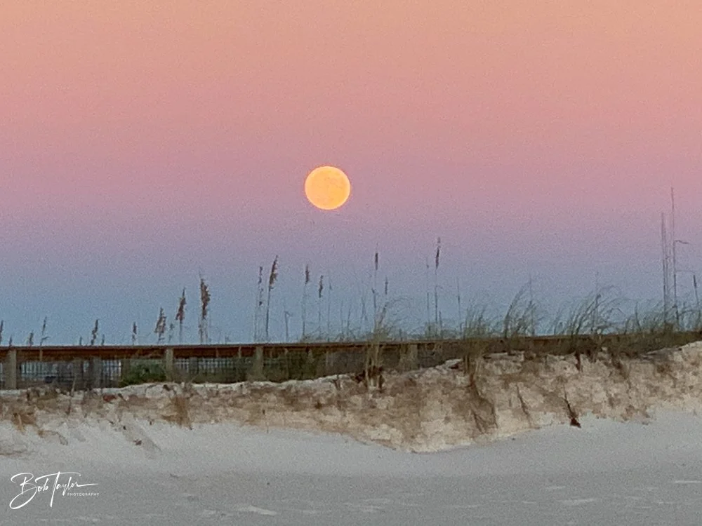 20201030-Best of 2020-2023 -150.jpg