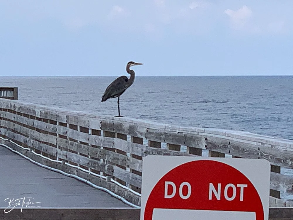 20201012-Best of 2020-2023 -110.jpg