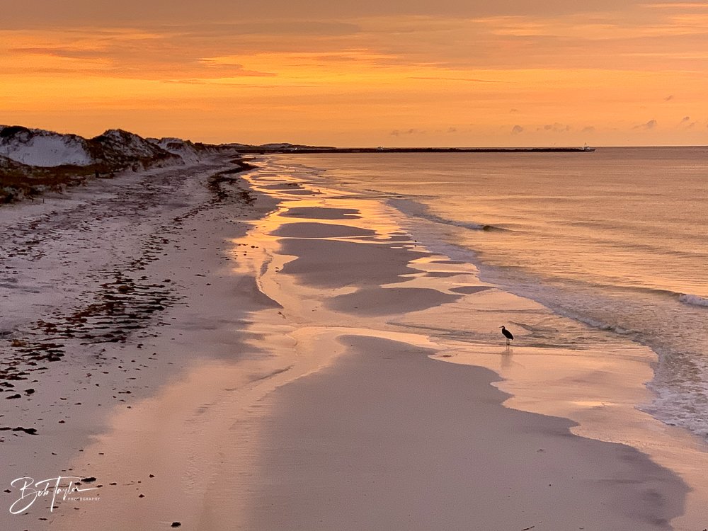 20200919-Best of 2020-2023 -56.jpg