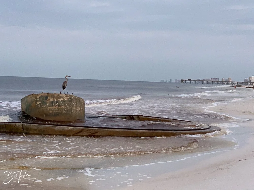 20200919-Best of 2020-2023 -67.jpg