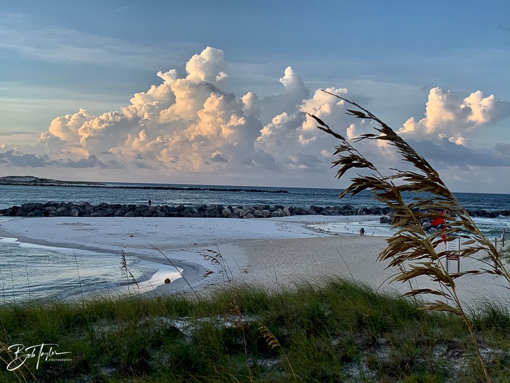 20200831-Best of 2020-2023 -40.jpg