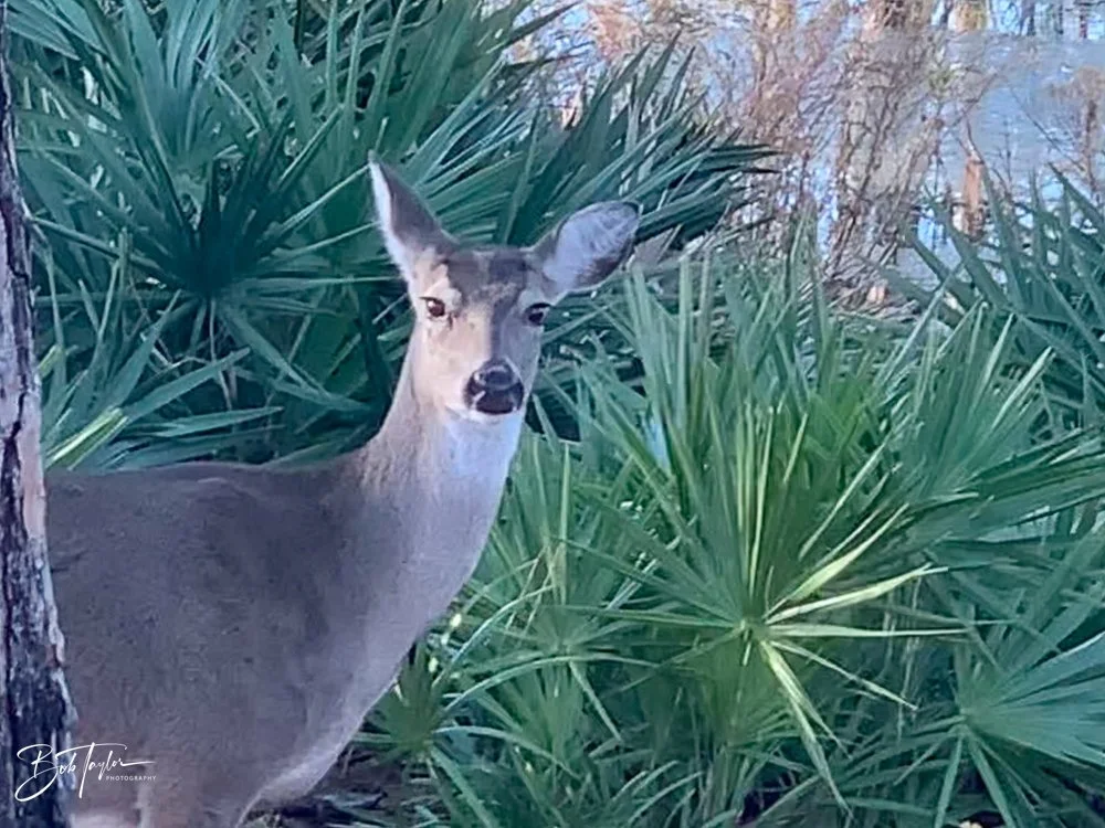 20201118-Best of 2020-2023 -170.jpg