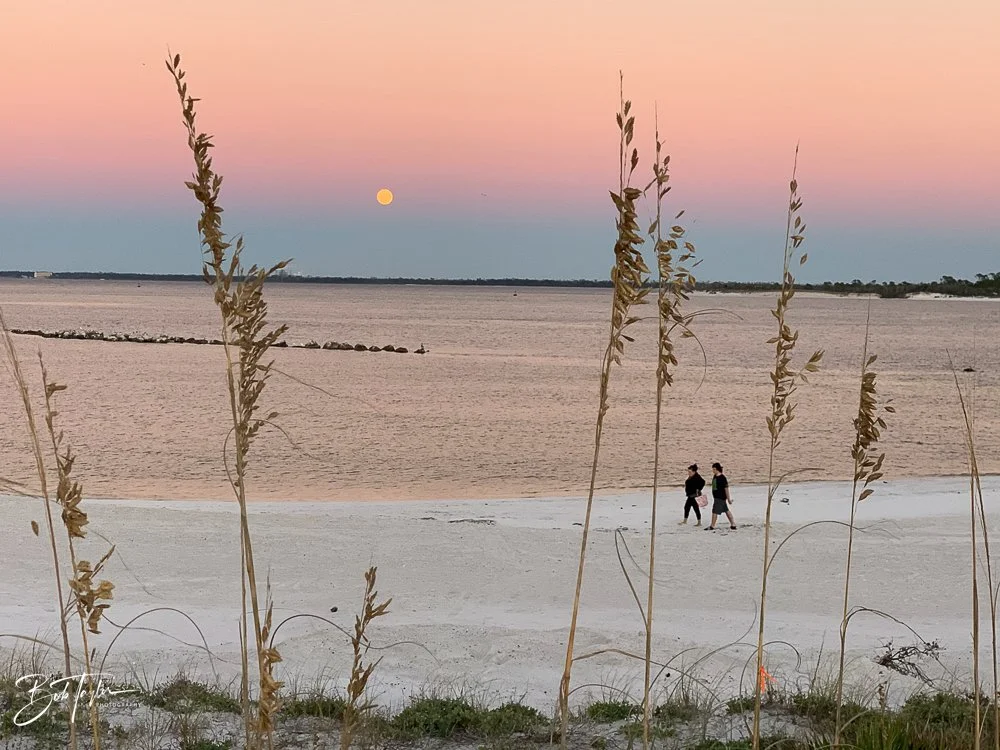 20201030-Best of 2020-2023 -152.jpg