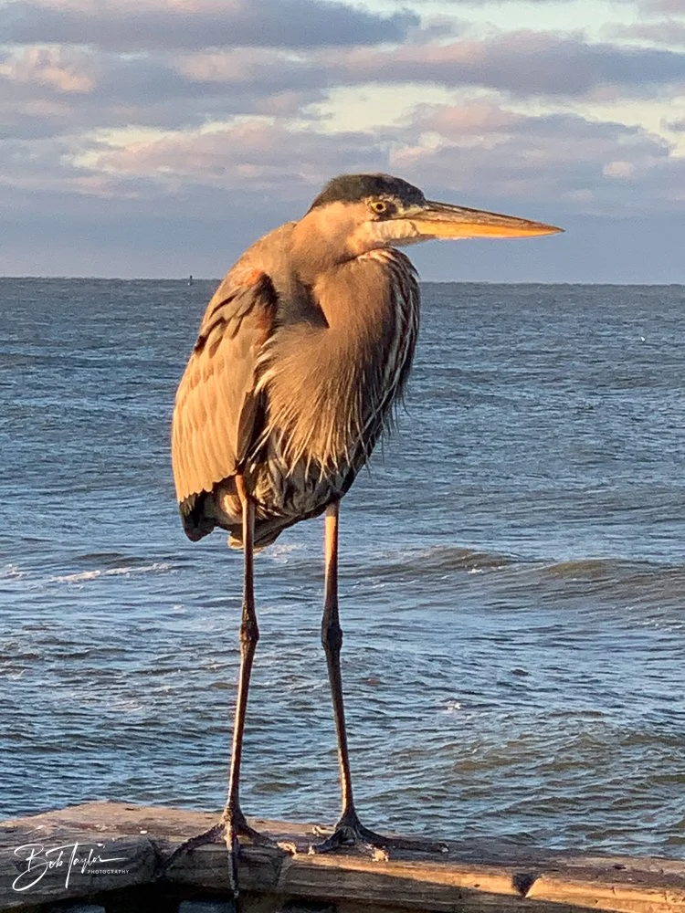 20201030-Best of 2020-2023 -145.jpg