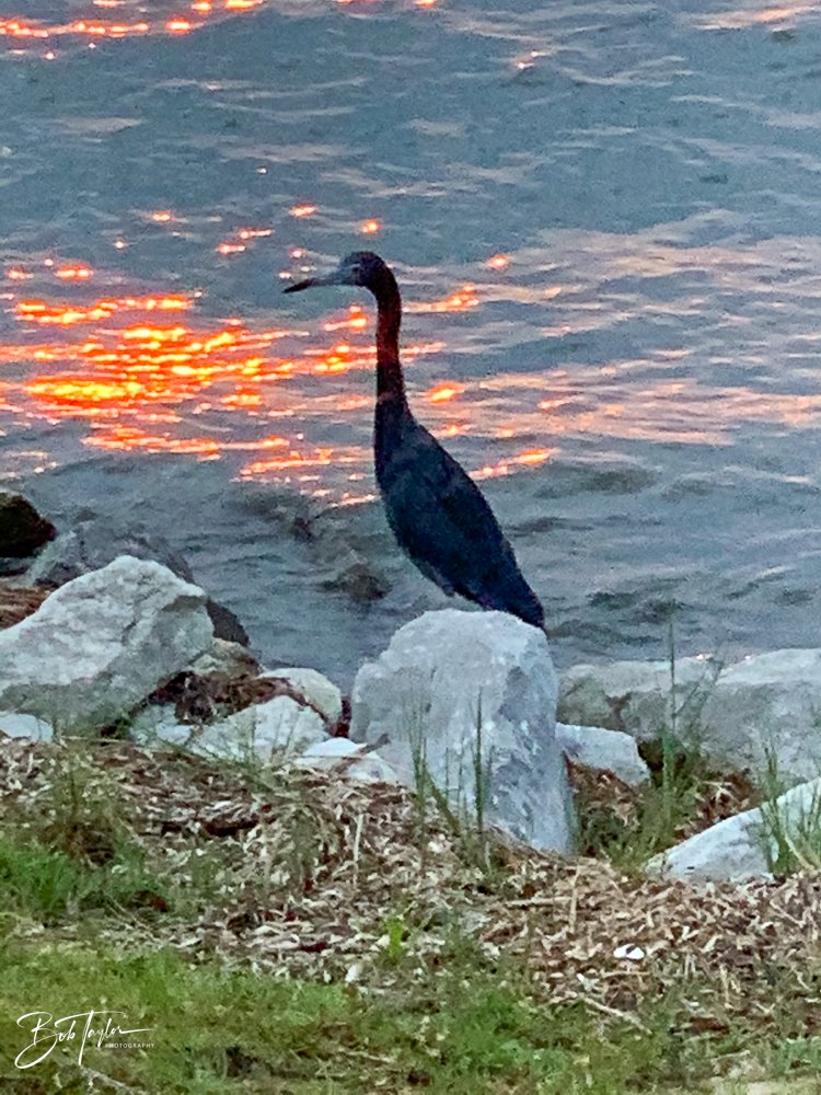 20200815-Best of 2020-2023 -3.jpg