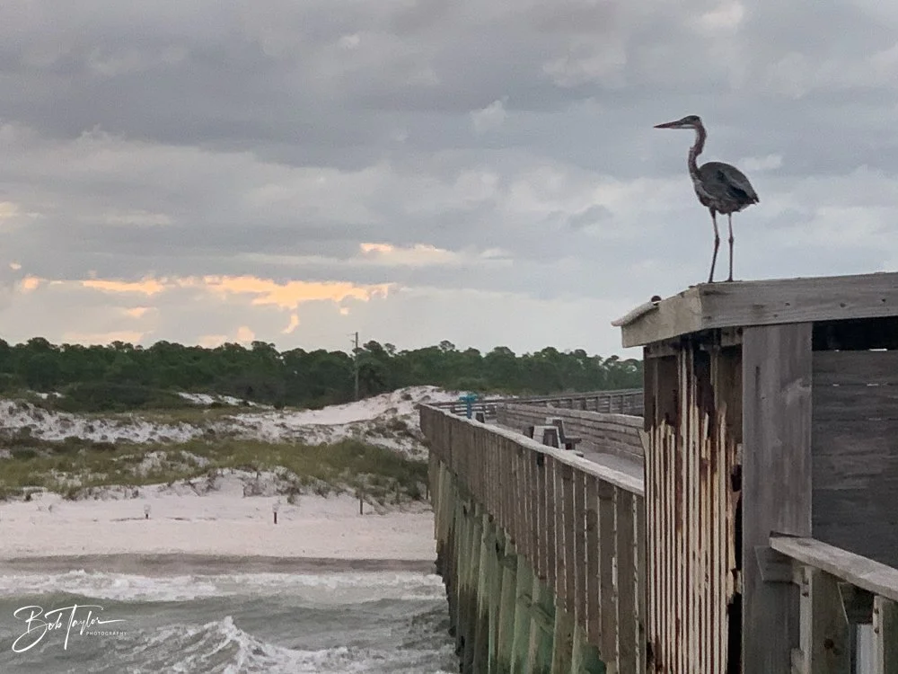 20200831-Best of 2020-2023 -38.jpg