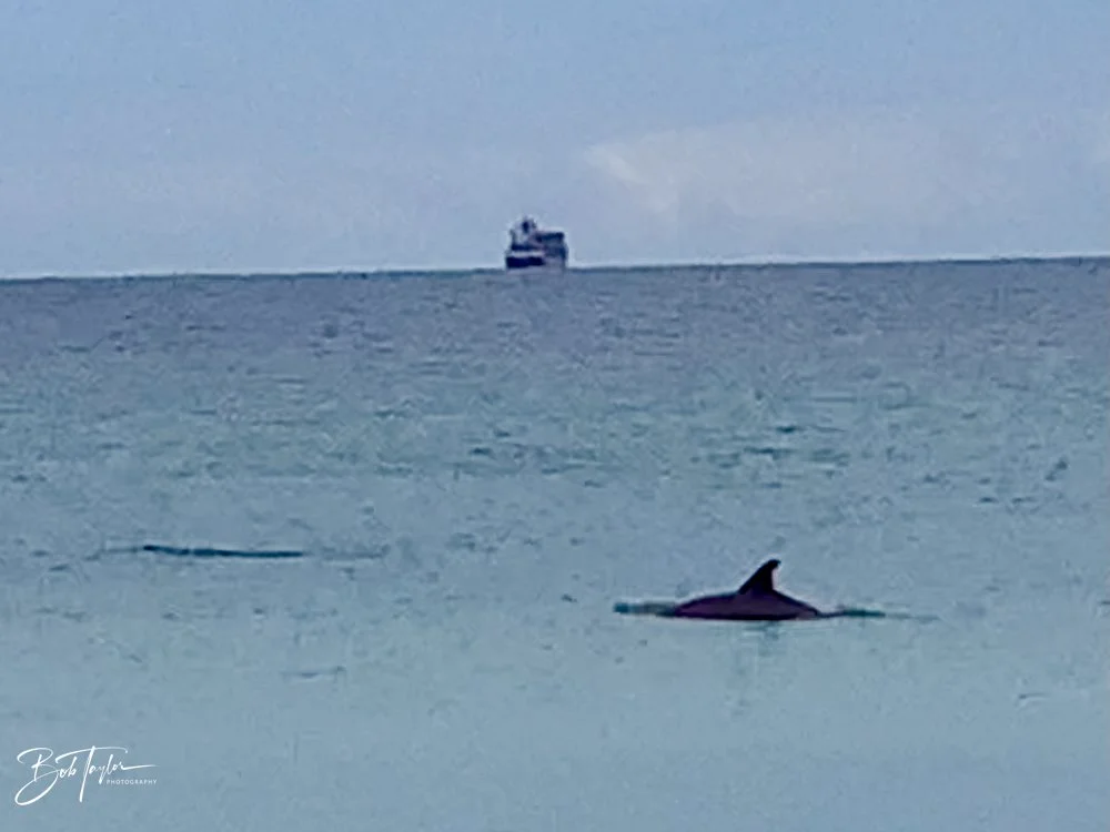 20201121-Best of 2020-2023 -180.jpg