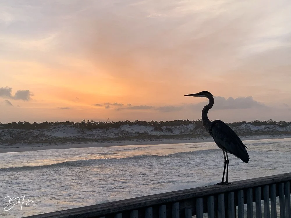 20200826-Best of 2020-2023 -16.jpg