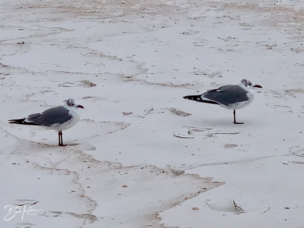 20201121-Best of 2020-2023 -181.jpg