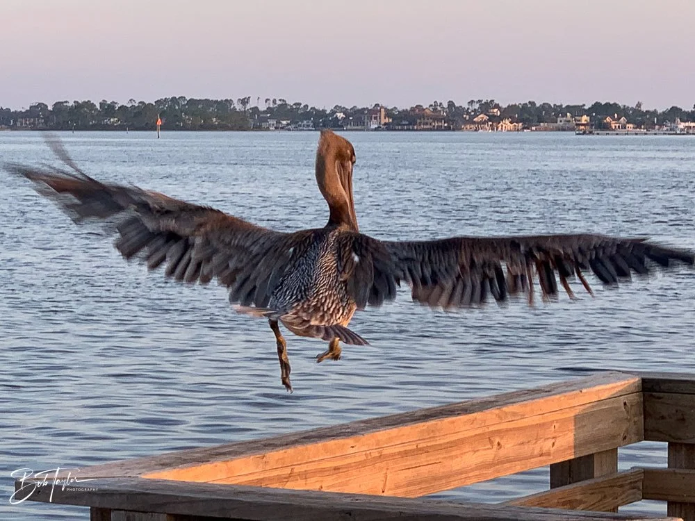 20200926-Best of 2020-2023 -86.jpg