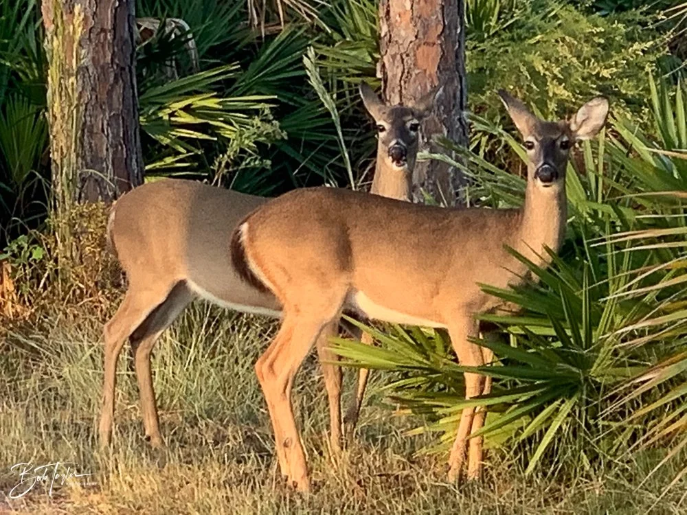 20201026-Best of 2020-2023 -137.jpg