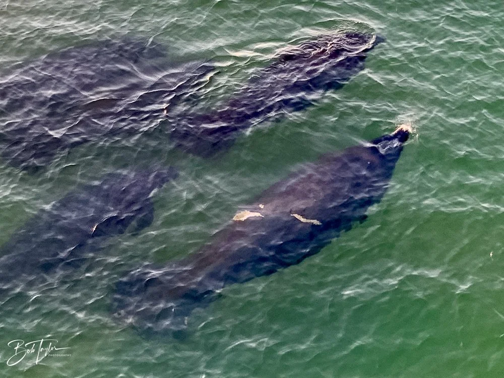 20201025-Best of 2020-2023 -132.jpg