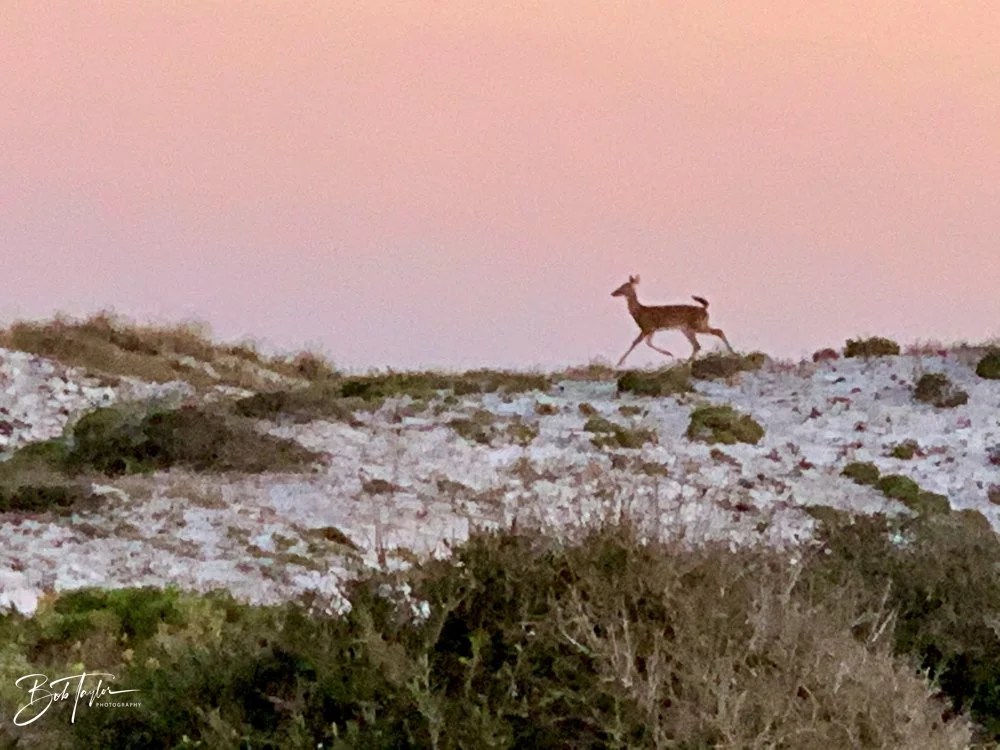 20201104-Best of 2020-2023 -160.jpg