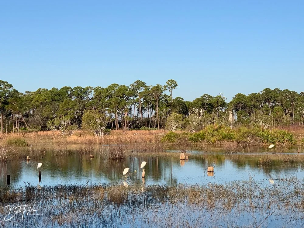 20201124-Best of 2020-2023 -185.jpg